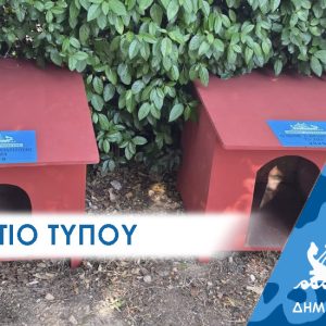 Δελτίο Τύπου: Καλαίσθητα ξύλινα σπιτάκια απέκτησαν τα αδέσποτα του Δήμου Περάματος