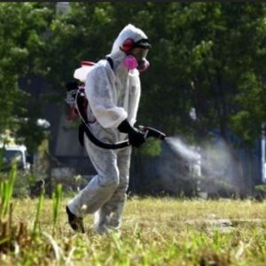 Ανακοίνωση: Ψεκασμοί για την καταπολέμηση κουνουπιών
