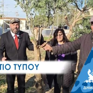 Ελιές σε δημόσιους χώρους φυτεύονται στο Πέραμα με την υποστήριξη της ΕΡΓΟΣΕ